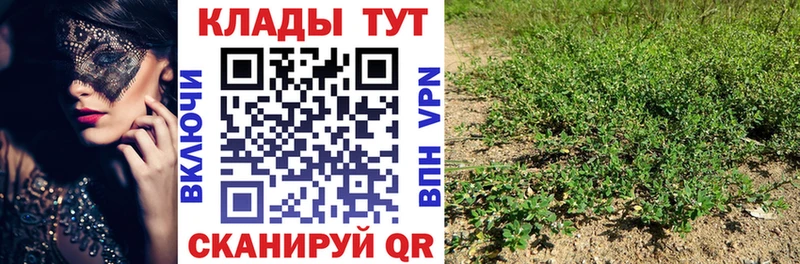 Купить КОКАИН  Alpha-PVP  ГАШ  Марихуана  Мефедрон  Коркино
