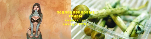 соль ск Белокуриха